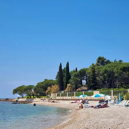 Koza 100m From The *