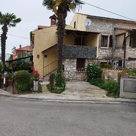 Koza 100m From The Apartment *
