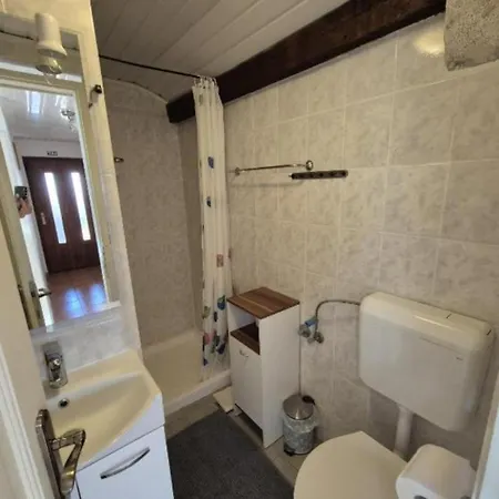 Koza 100m From The Apartment *