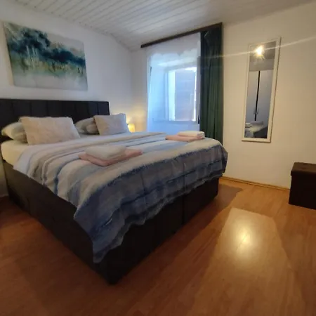 Koza 100m From The Apartment