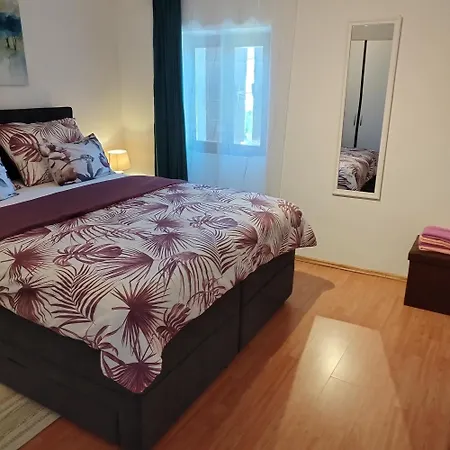 Koza 100m From The Apartment *