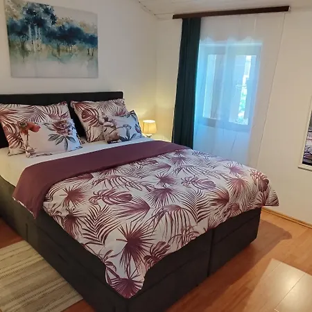 Koza 100m From The *