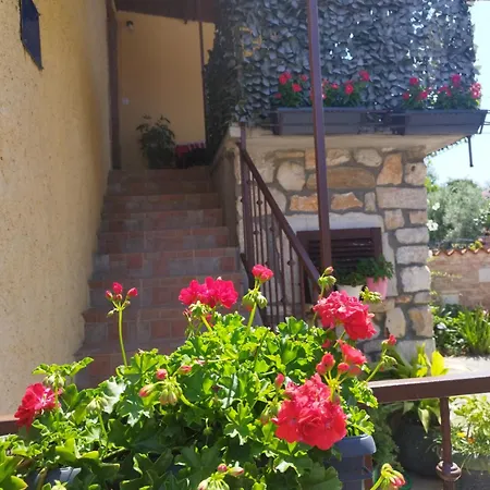 דירה Koza 100m From The *