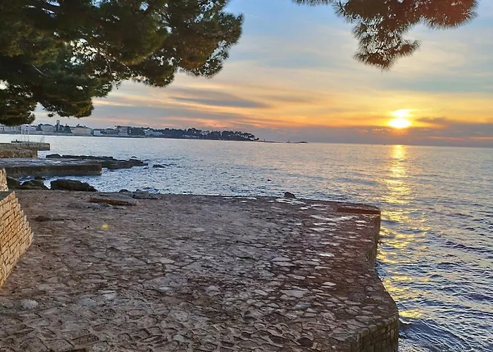 Koza 100m From The Πόρετς