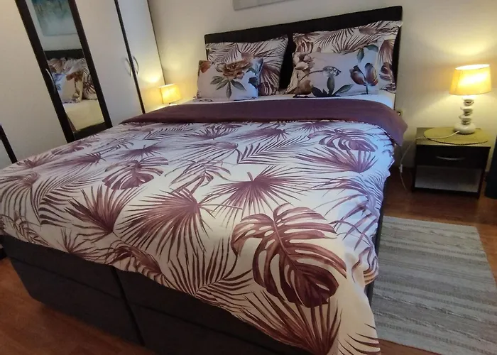 Koza 100m From The דירה