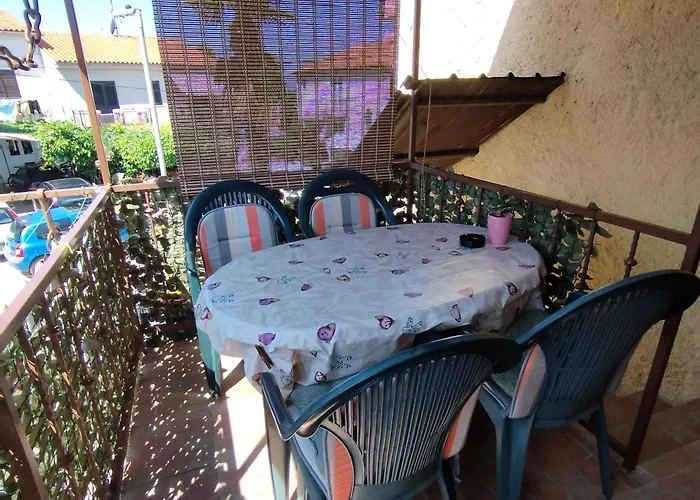 Koza 100m From The