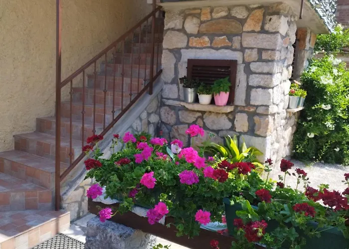 Apartament Koza 100m From The *